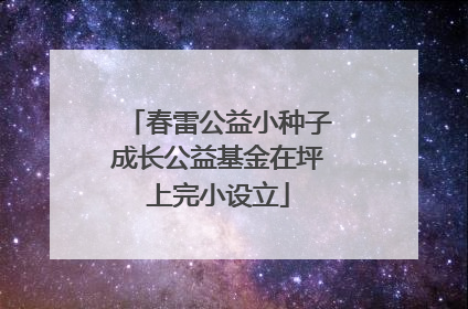 春雷公益小种子成长公益基金在坪上完小设立