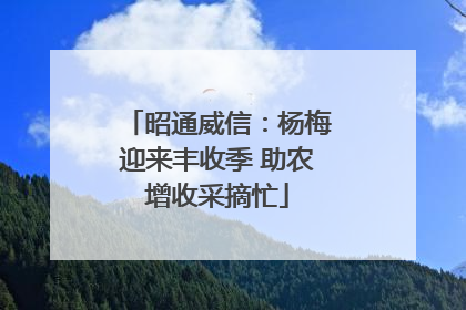 昭通威信：杨梅迎来丰收季 助农增收采摘忙