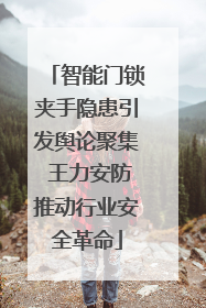智能门锁夹手隐患引发舆论聚集 王力安防推动行业安全革命