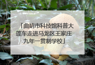 曲靖市科技馆科普大篷车走进马龙区王家庄九年一贯制学校