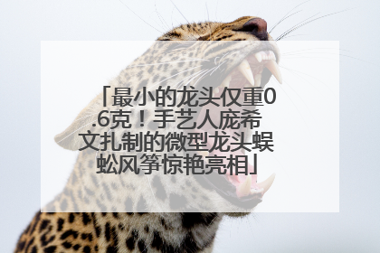 最小的龙头仅重0.6克！手艺人庞希文扎制的微型龙头蜈蚣风筝惊艳亮相