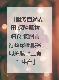服务直通麦田 保障颗粒归仓 德州市行政审批服务局护航“三夏”生产