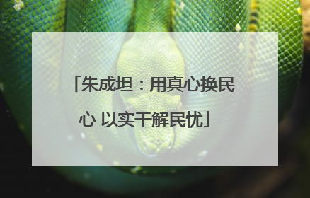 朱成坦：用真心换民心 以实干解民忧