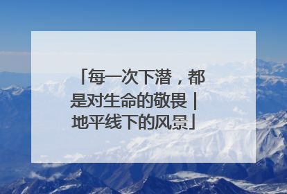 每一次下潜，都是对生命的敬畏｜地平线下的风景