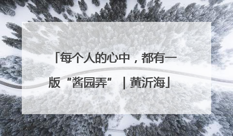 每个人的心中，都有一版“酱园弄”｜黄沂海
