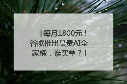 每月1800元！谷歌推出最贵AI全家桶，谁买单？