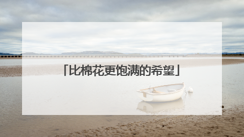 比棉花更饱满的希望