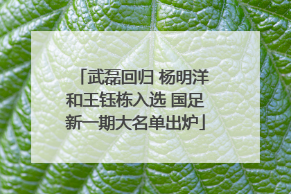 武磊回归 杨明洋和王钰栋入选 国足新一期大名单出炉
