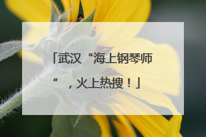 武汉“海上钢琴师”，火上热搜！