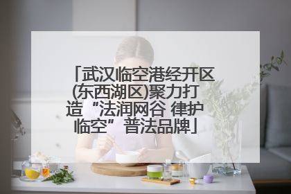 武汉临空港经开区(东西湖区)聚力打造“法润网谷 律护临空”普法品牌