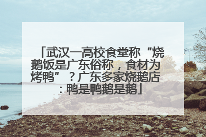 武汉一高校食堂称“烧鹅饭是广东俗称，食材为烤鸭”？广东多家烧鹅店：鸭是鸭鹅是鹅