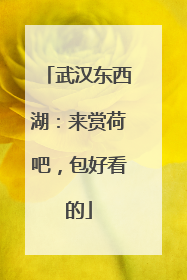 武汉东西湖：来赏荷吧，包好看的