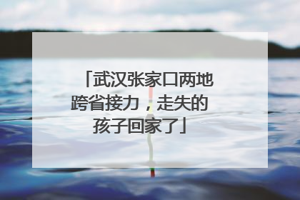 武汉张家口两地跨省接力，走失的孩子回家了