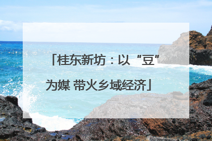 桂东新坊：以“豆”为媒 带火乡域经济
