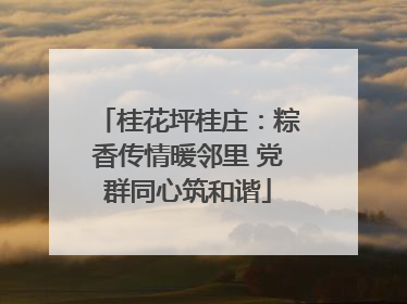桂花坪桂庄：粽香传情暖邻里 党群同心筑和谐