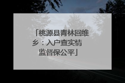 桃源县青林回维乡：入户查实情 监督保公平