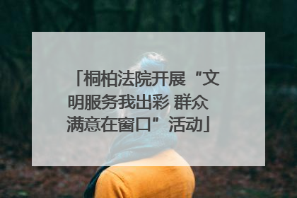 桐柏法院开展“文明服务我出彩 群众满意在窗口”活动