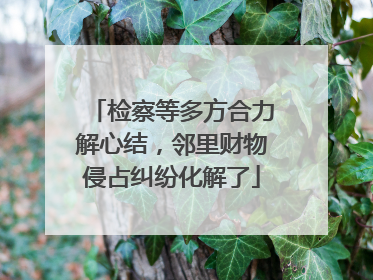 检察等多方合力解心结，邻里财物侵占纠纷化解了