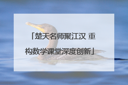 楚天名师聚江汉 重构数学课堂深度创新
