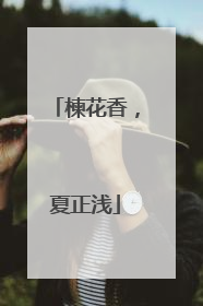 楝花香，夏正浅