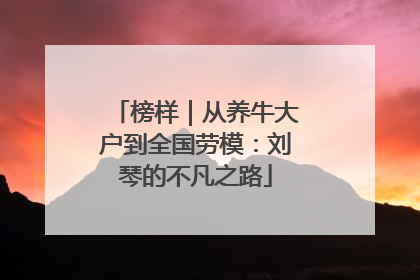 榜样｜从养牛大户到全国劳模：刘琴的不凡之路
