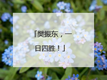 樊振东，一日四胜！