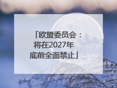 欧盟委员会：将在2027年底前全面禁止