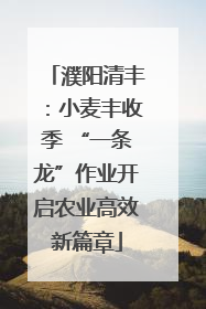 濮阳清丰：小麦丰收季 “一条龙”作业开启农业高效新篇章