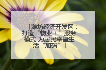潍坊经济开发区：打造“物业＋”服务模式 为居民幸福生活“加码”