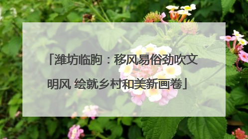 潍坊临朐：移风易俗劲吹文明风 绘就乡村和美新画卷