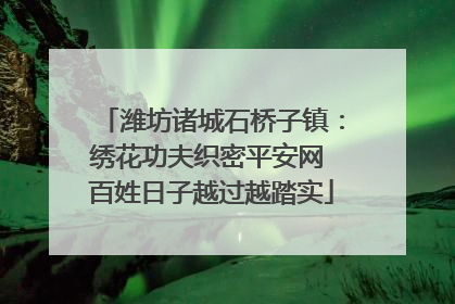 潍坊诸城石桥子镇：绣花功夫织密平安网 百姓日子越过越踏实