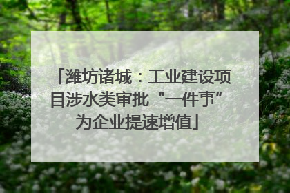 潍坊诸城：工业建设项目涉水类审批“一件事” 为企业提速增值
