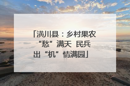 潢川县：乡村果农“愁”满天  民兵出“机”情满园