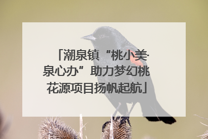 潮泉镇“桃小美·泉心办”助力梦幻桃花源项目扬帆起航