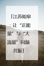 江苏如皋：让“正能量”与“大流量”同频共振