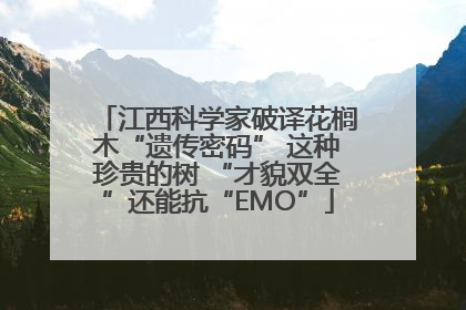 江西科学家破译花榈木“遗传密码” 这种珍贵的树 “才貌双全”还能抗“EMO”