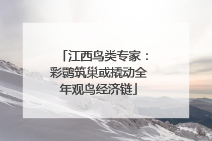 江西鸟类专家：彩鹮筑巢或撬动全年观鸟经济链