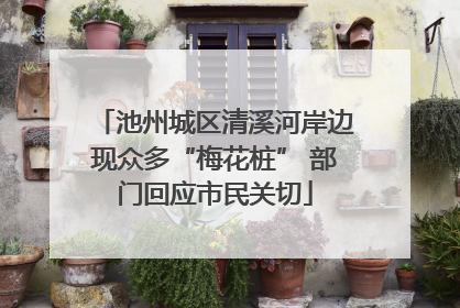 池州城区清溪河岸边现众多“梅花桩” 部门回应市民关切