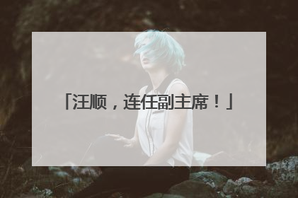 汪顺，连任副主席！
