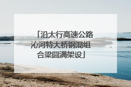 沿太行高速公路沁河特大桥钢混组合梁圆满架设