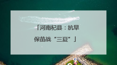 河南杞县：抗旱保苗战“三夏”