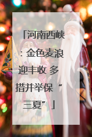 河南西峡：金色麦浪迎丰收 多措并举保“三夏”