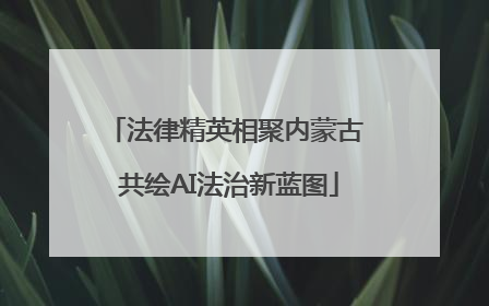 法律精英相聚内蒙古 共绘AI法治新蓝图