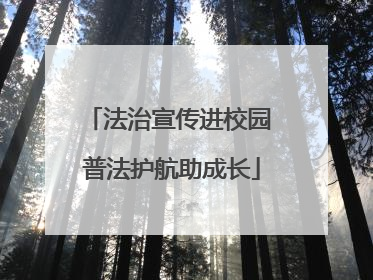 法治宣传进校园 普法护航助成长