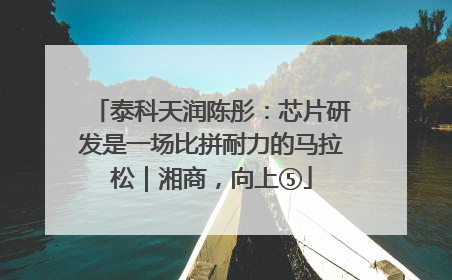 泰科天润陈彤：芯片研发是一场比拼耐力的马拉松｜湘商，向上⑤