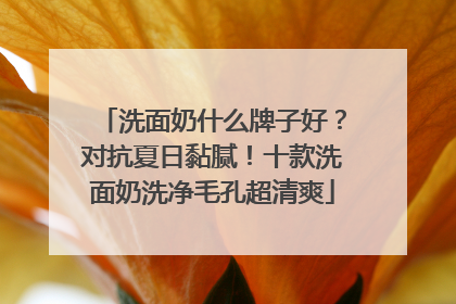 洗面奶什么牌子好？对抗夏日黏腻！十款洗面奶洗净毛孔超清爽