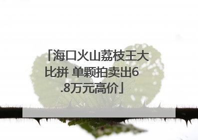 海口火山荔枝王大比拼 单颗拍卖出6.8万元高价