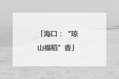 海口：“琼山福稻”香