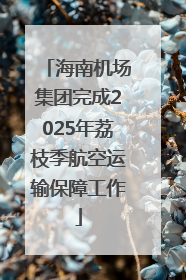 海南机场集团完成2025年荔枝季航空运输保障工作