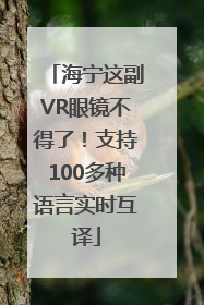 海宁这副VR眼镜不得了！支持100多种语言实时互译
